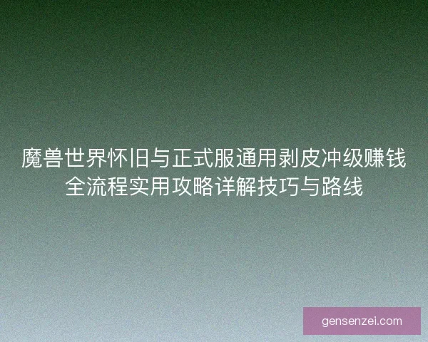 魔兽世界怀旧与正式服通用剥皮冲级赚钱全流程实用攻略详解技巧与路线